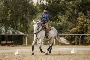 A person wearing a helmet and patterned shirt rides a white horse at canter V1 in an outdoor arena surrounded by trees and fencing. The horse is moving forward, and both appear calm and focused, as if ready to open a new page in their training.